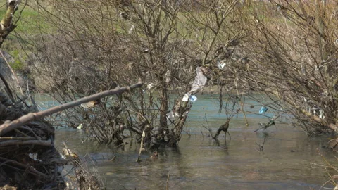Plastic bags in river 動画素材 236817827