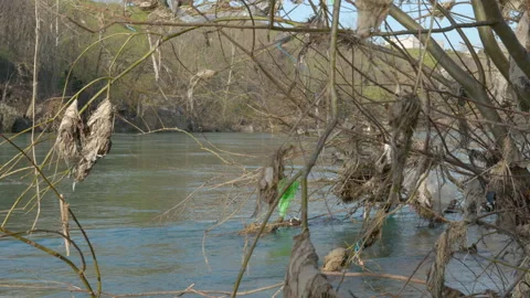 Plastic bags in river 動画素材 236878248