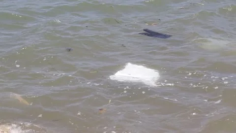 Plastic Bags in the Sea Stock Footage 236659088