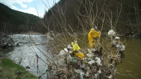 Plastic bags tangled in the branches of a tree on the river bank. Stock Footage 188142606