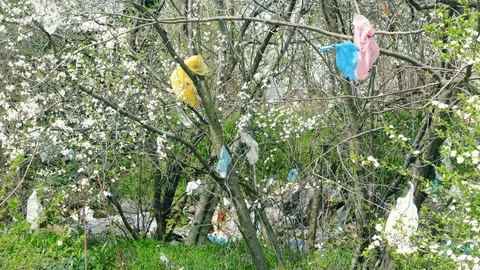Plastic bags on the tree and garbage around Stock Footage 88195485