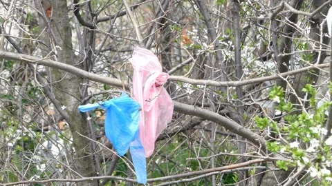 Plastic bags on the tree Stock Footage 88195954