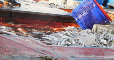 Plastic barrel filled with ice and freshly caught fish is being unloaded on boat Stock Footage 276040542