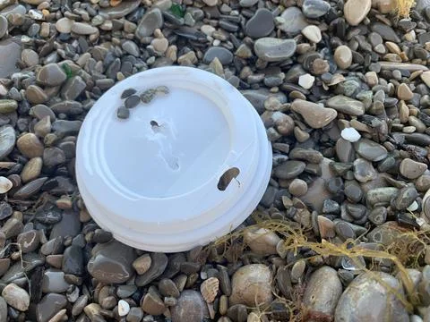 Plastic on the beach Stock Photos