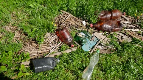 Plastic beer bottles in the grass. Stock Footage 108648742