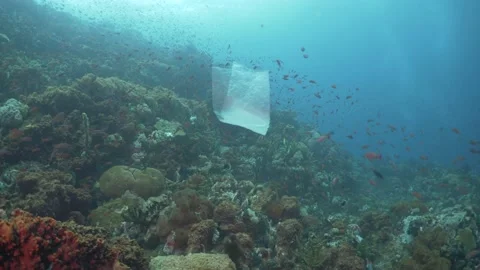 Plastic Being Pushed By Current Underwater in Verde Island Passage, Philippines Stock Footage 169147202
