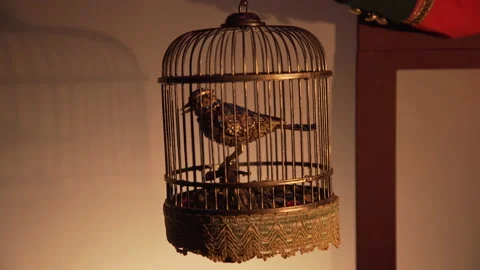 Plastic bird in a cage Stock Footage 182606651