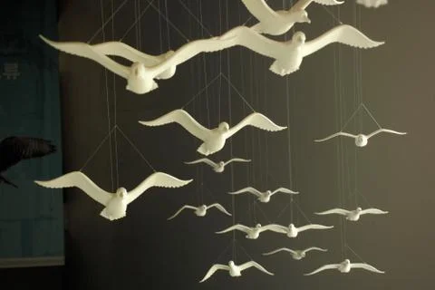 Plastic Birds Fotos Stock