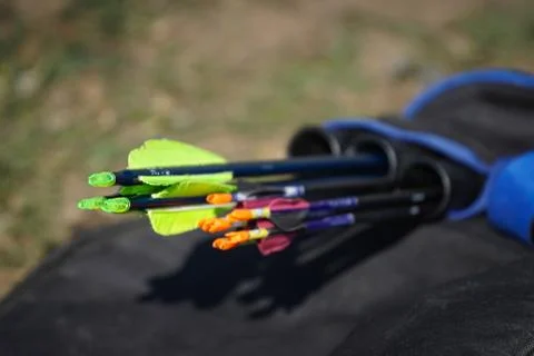 Plastic black arrows in archer case isolated Stock Photos