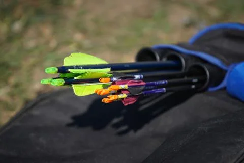 Plastic black arrows in archer case isolated Stock Photos