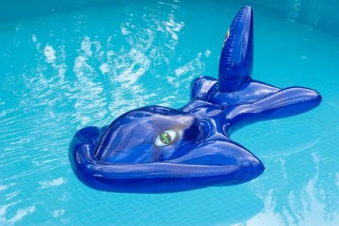 A plastic blue fish floating in a pool... Stock Photos