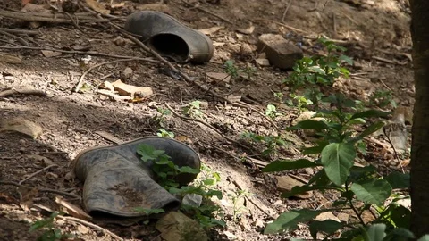 Plastic Boots and Trash Abandoned over Forest Background Stock Footage 110338659
