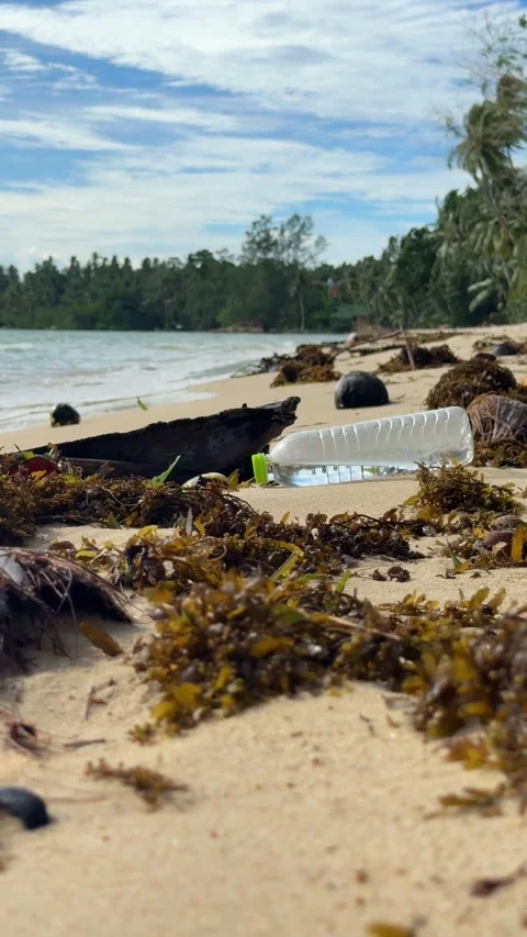Plastic Bottle and Debris Polluting Tropical Beach 動画素材 346501315