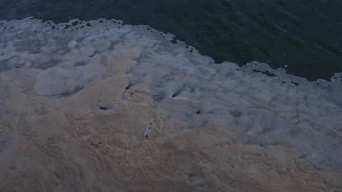 Plastic bottle and dirt in the ocean water Stock Footage 220930227