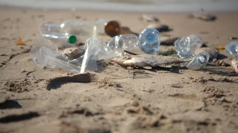 Plastic bottle and garbage pollution in the beach, environmental pollution Stock Footage 267727311