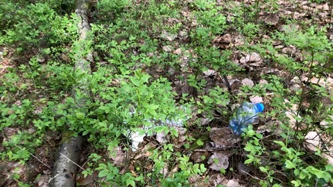Plastic bottle and paper garbage lie on the grass in the forest Stock Footage 113054232