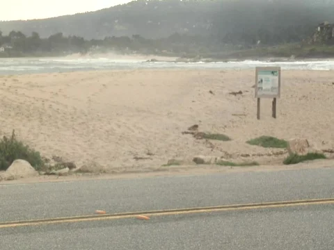 Plastic bottle and runoff Video stock 610074