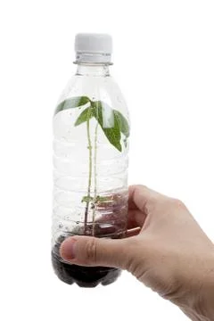 Plastic bottle and Sprout Stock Photos