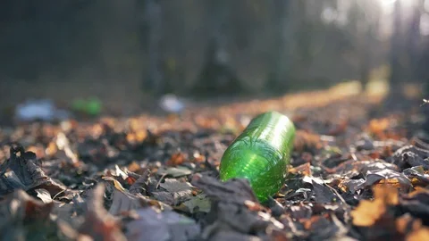Plastic bottle in the autumn forest close-up. Polluted land and ecology Stock Footage 119989115