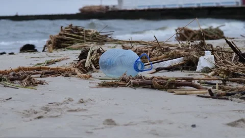 A plastic bottle on the beach among debris Stockbeeldmateriaal 244723065