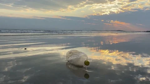 Plastic bottle on a beach Stock Footage 169391561