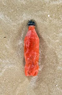 Plastic bottle on the beach Stock Photos