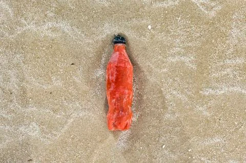Plastic bottle on the beach Stock Photos