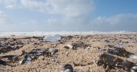 Plastic bottle on beach, plastic pollution. Pedestal shot rising from sand Stock Footage 119294469