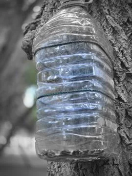 Plastic bottle bird feeder tree Stock-Fotos