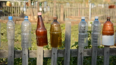 Plastic bottle with the bottom cut Video stock 63345996