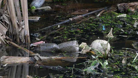 Plastic bottle in a canal. Stock Footage 128270683