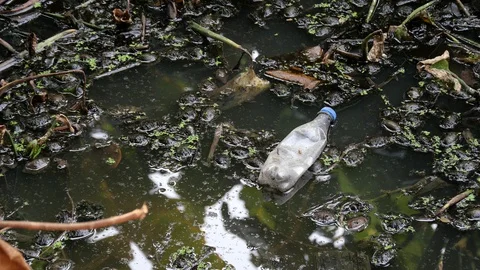 Plastic bottle in a canal. Stock Footage 128270685
