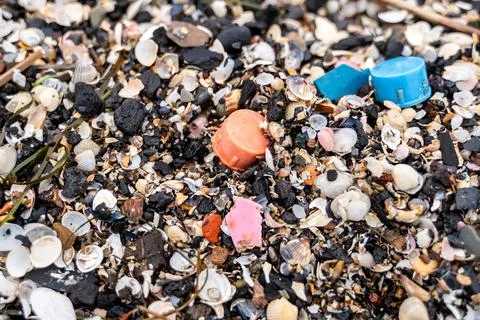 Plastic bottle caps among seashells and pebbles Stock Photos