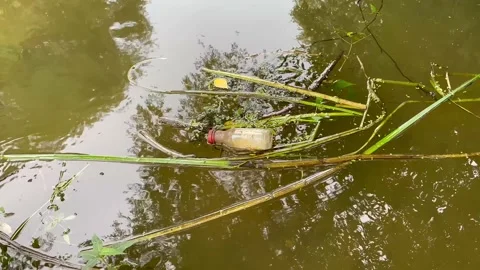 Plastic bottle in the city river. Plastic in the water. Environmental pollution Stock Footage 211013808
