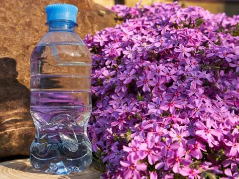 Plastic bottle with clean drinking water. Stock Photos