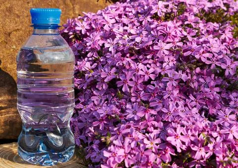 Plastic bottle with clean drinking water. Stock Photos