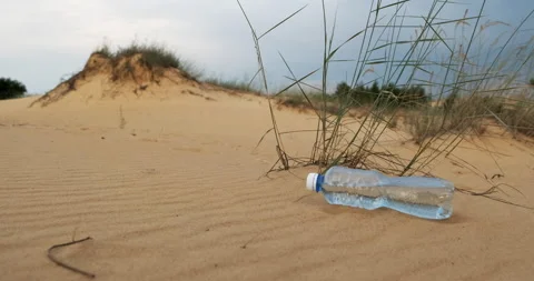 Plastic bottle with clean water lying on sand in dry desert with tropical plants Stock Footage 175775121