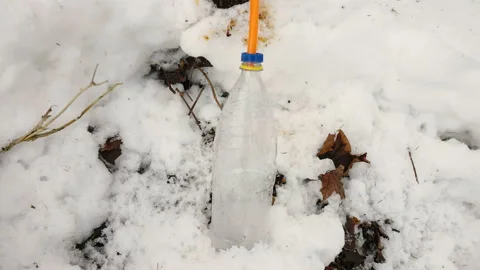 A plastic bottle connected on the tree in Estonia Stock Footage 170526804