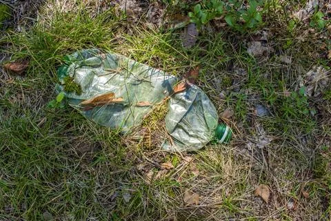A plastic bottle crushed in the forest Фото