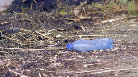 Plastic bottle discarded in a natural environment Stock Footage 74177402