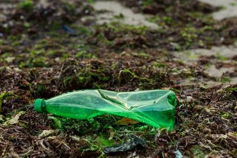 Plastic bottle discarded on a polluted beach, symbolizing ocean pollution Foto stock
