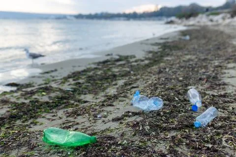 Plastic bottle discarded on a polluted beach, symbolizing ocean pollution Stock Photos