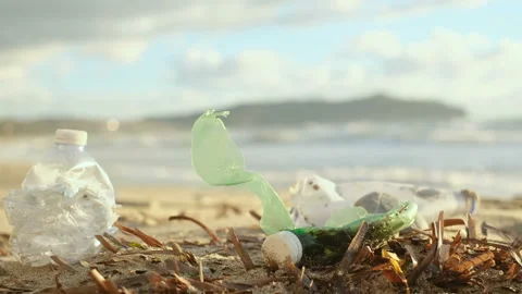 Plastic bottle discarded on pollution ocean sea coast,environmental nature waste Stock Footage 166977202