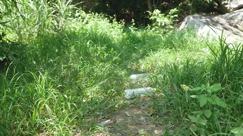Plastic bottle of drinking water littering on ground in the park. Environmental  Stock Footage 138907157