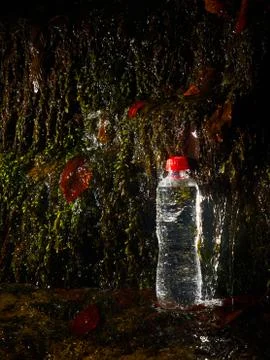Plastic bottle with drinking water. Stock Photos