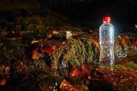 Plastic bottle with drinking water. Stock Photos