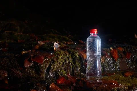 Plastic bottle with drinking water. Stock Photos