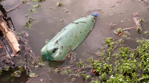 Plastic Bottle in the Environment Stock Footage 32742784