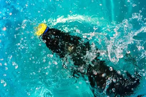 Plastic bottle falling into the water making splashes and spraying drops Stock Photos