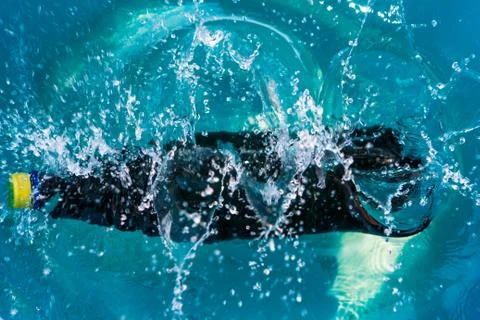 Plastic bottle falling into the water making splashes and spraying drops Stock Photos